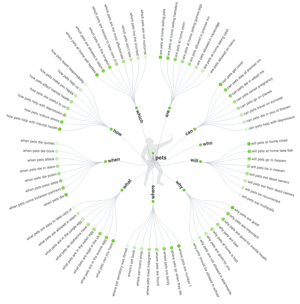 AnswerThePublic questions visualization