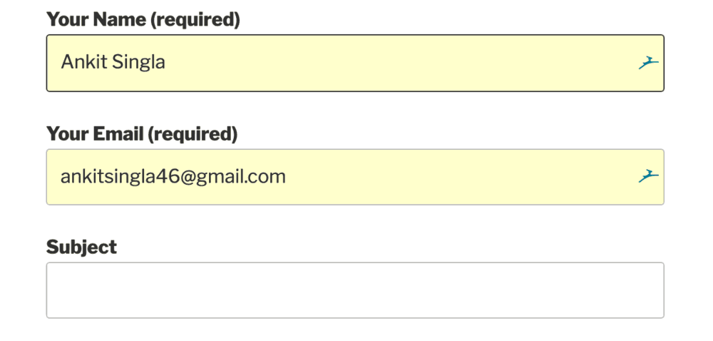 Contact Form 7 Test