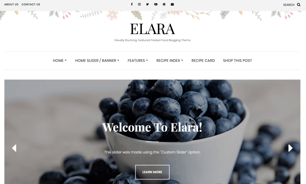 Elara Pro