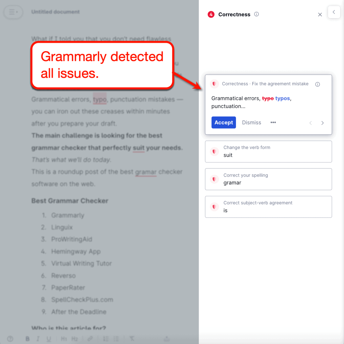 Grammarly Detecting All Writing Issues