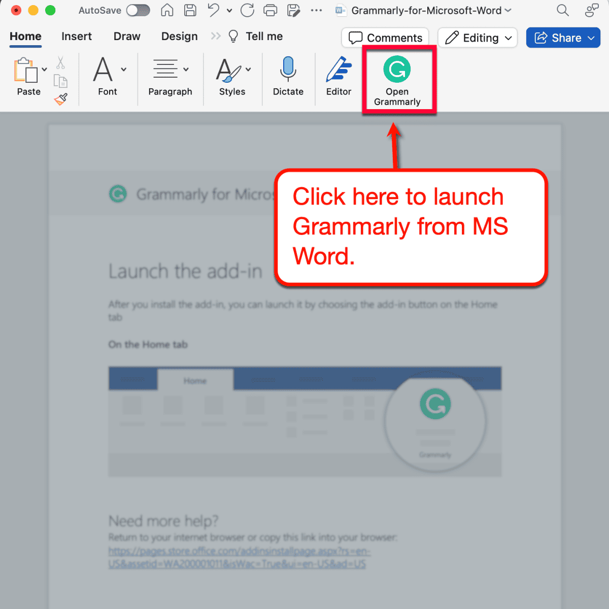 Grammarly for MS Word Button
