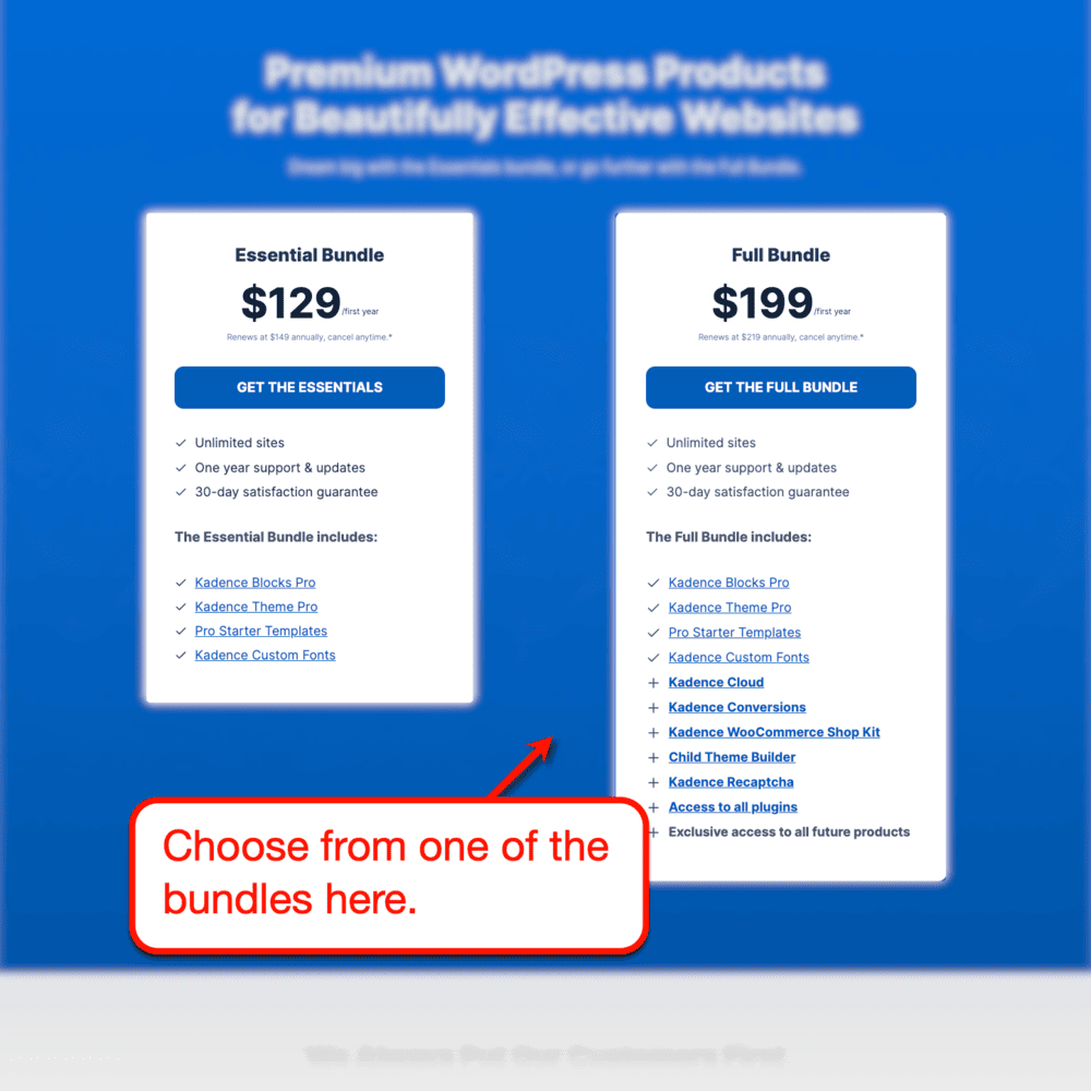 Kadence WP plans and price