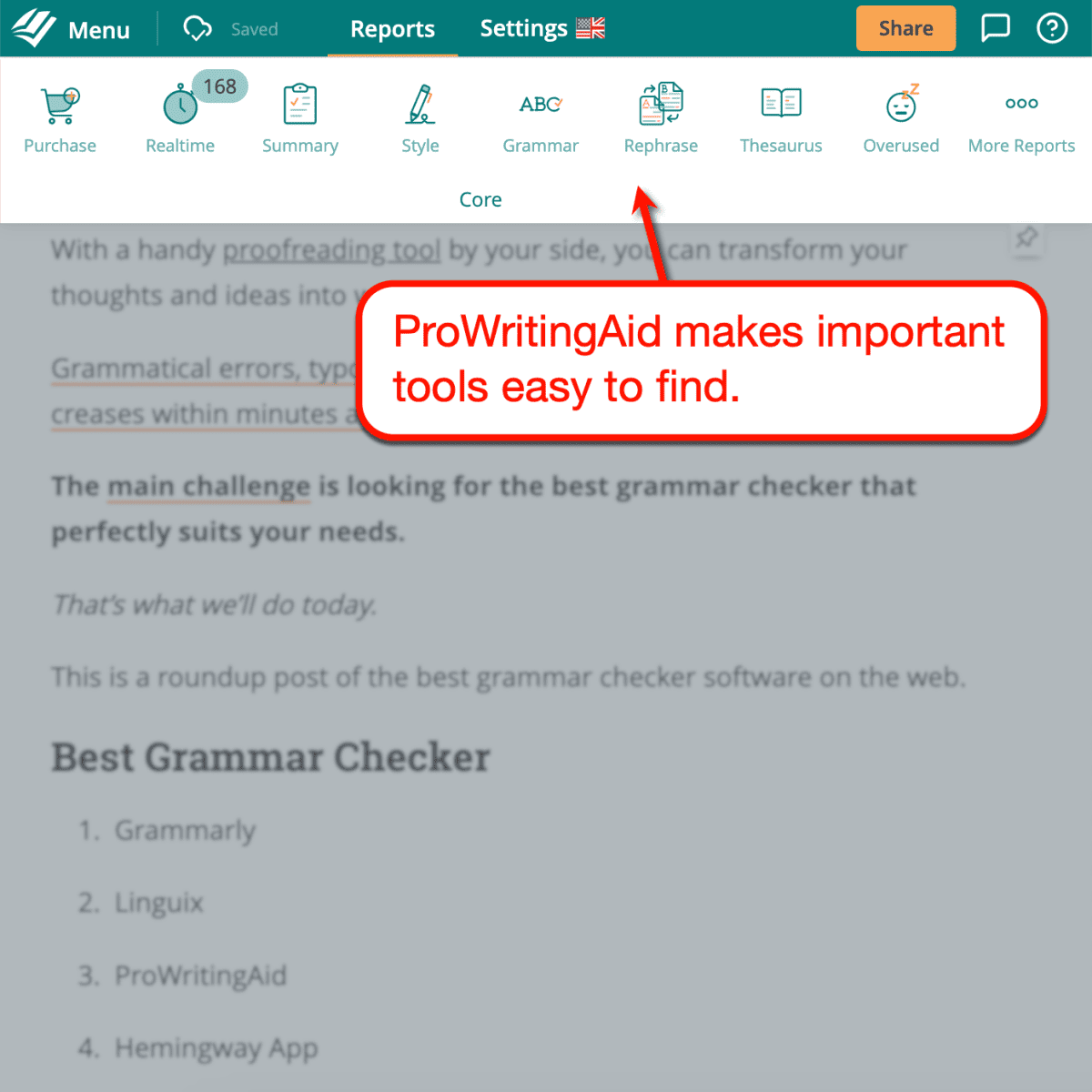 ProWritingAid main interface