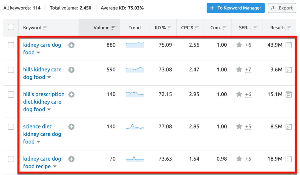 Keyword Magic Tool Results