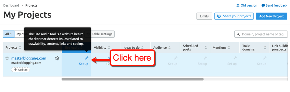 Site Audit Tool