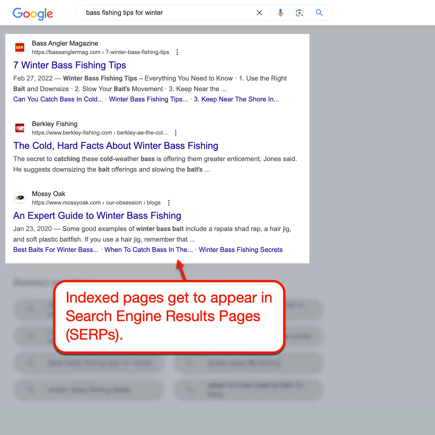 Blogs indexed on SERPs