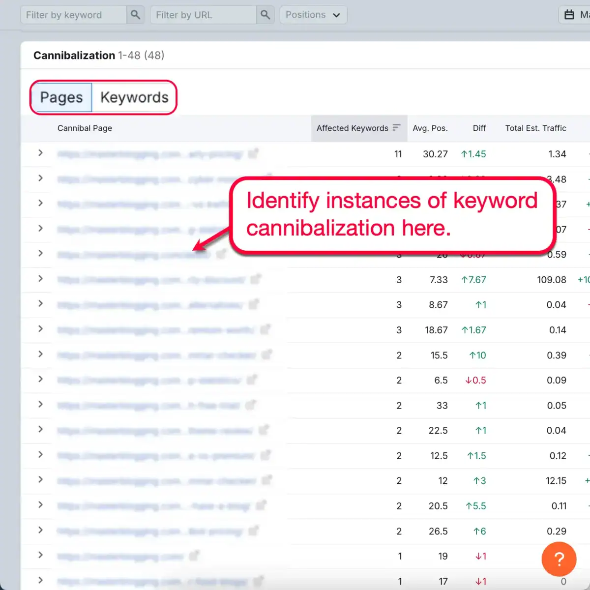 Keyword Cannibalization Report