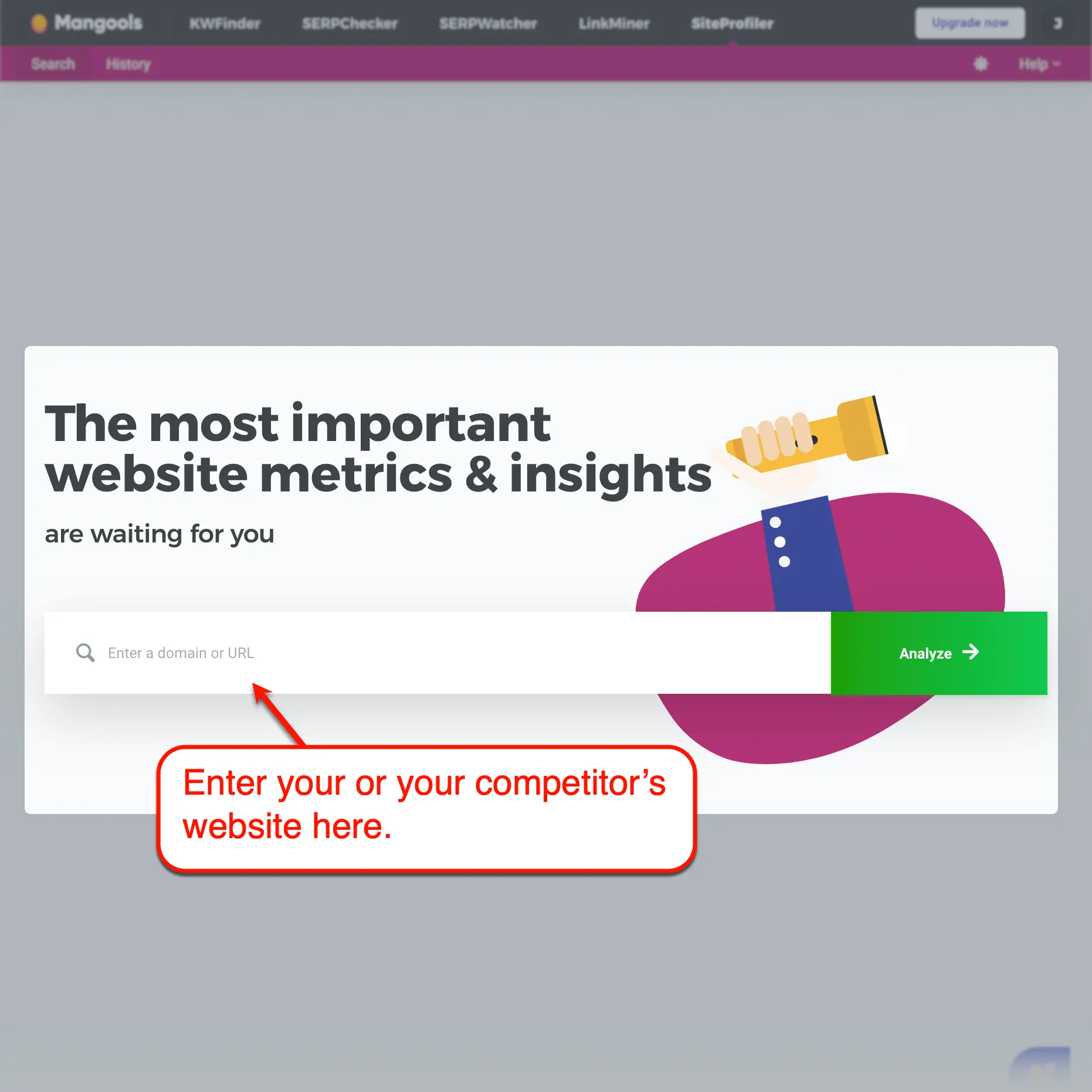 Mangools SiteProfiler