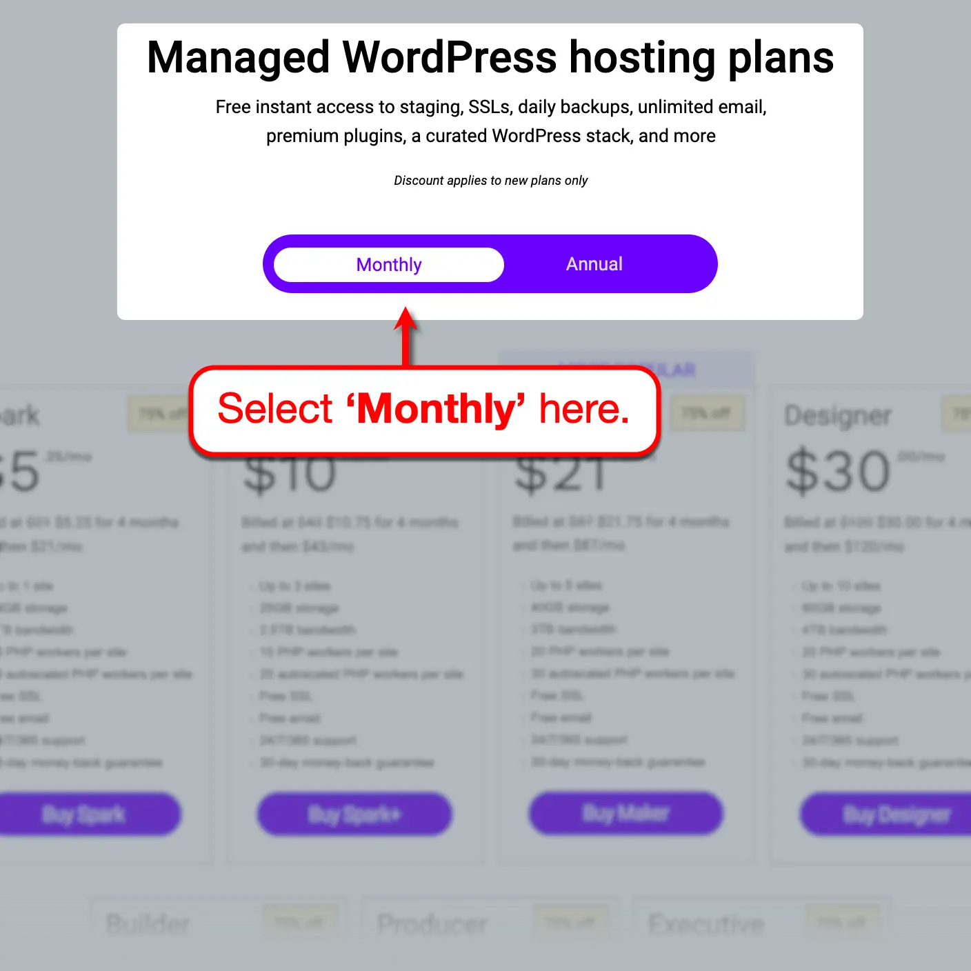 Monthly Hosting Plan Tab