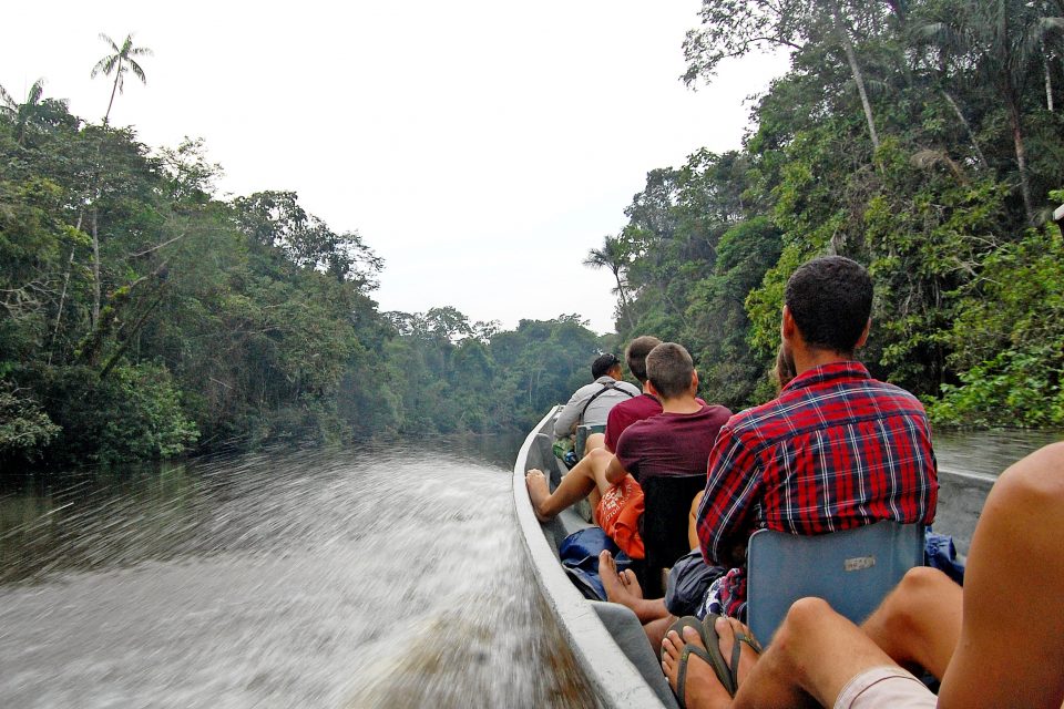 biggest wildlife reserve, Amazon forest and wildlife reserves