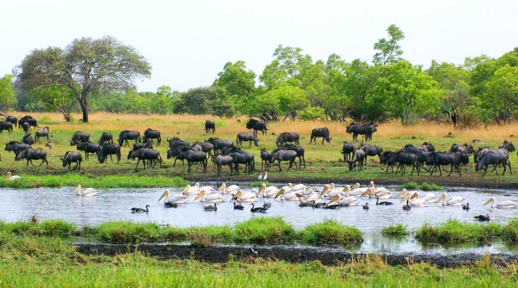 10 Wildlife Reserves in the world