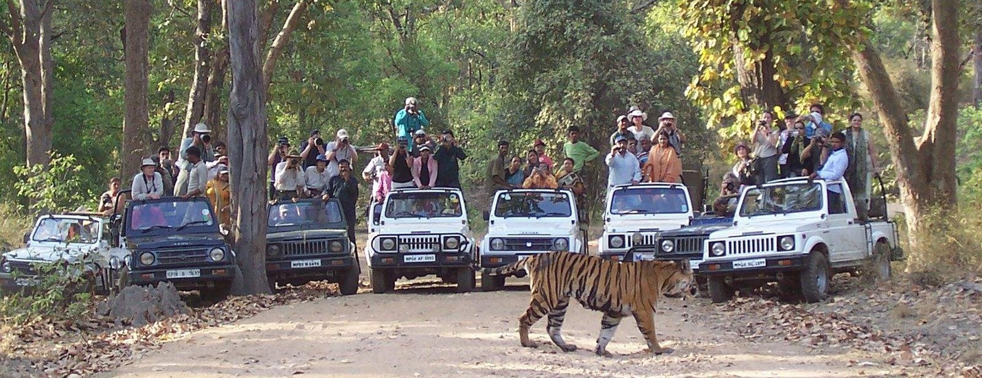 Top 10 Wildlife Reserves in the world, Bandhavgarh national park