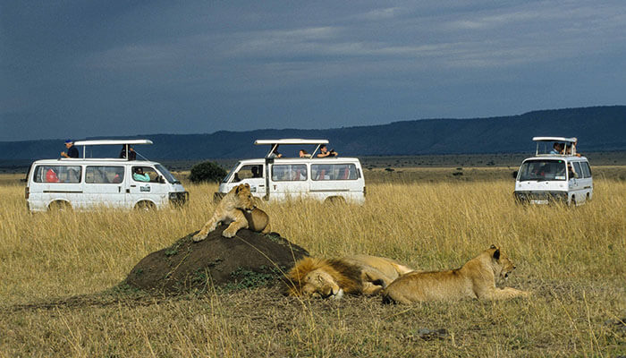 best wildlife reserves in the world, Masai Mara game Reserve