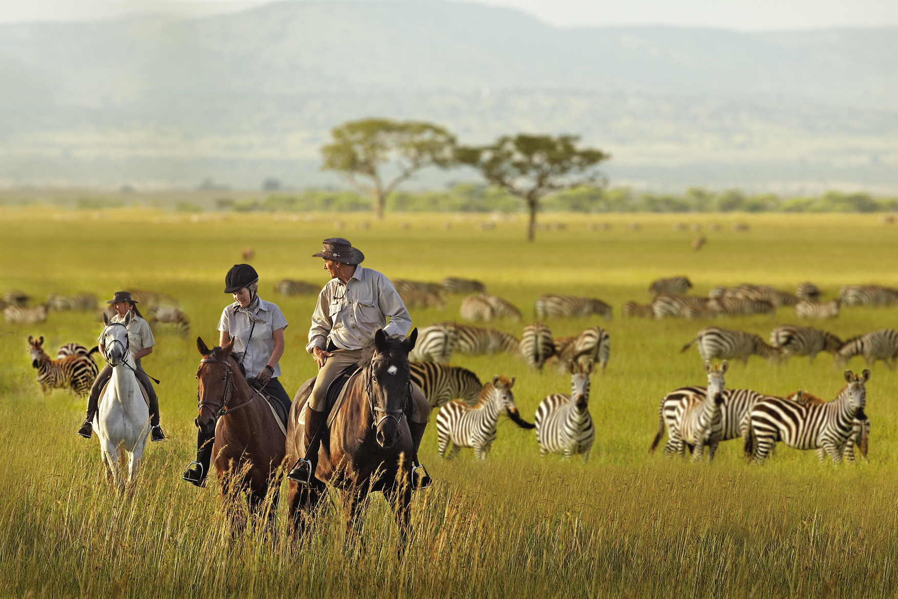 Top 10 Wildlife Reserves in the world, Serengiti national park